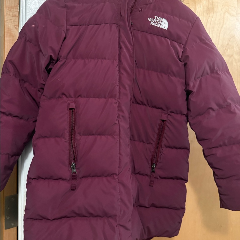 The North Face Kids Puffer Jacket in Burgundy